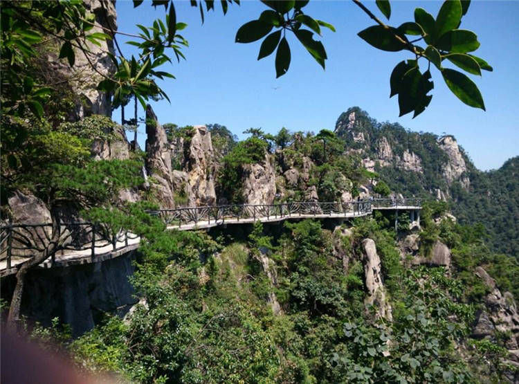 1584978008813970.png 1585712809693385.jpg